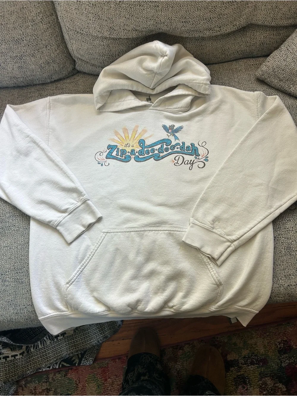 Vintage Disney Parks Splash Mountain Hoodie - Picture 1 of 5